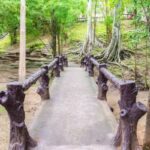 bridging damp