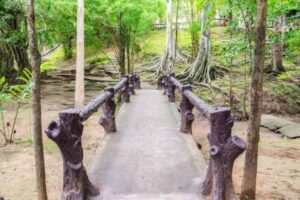 The Impact of Bridging and How a Damp Expert Can Help