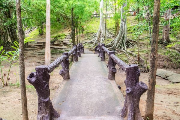 bridging damp