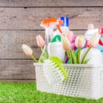 Spring Cleaning Tips for Homeowners