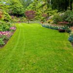 herb garden design tips