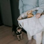 how to organise a small home