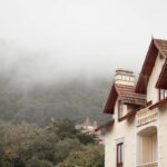 signs of damp in a house