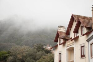 Signs of Damp in a House: What to Check First