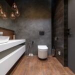 wall hung toilet pros and cons