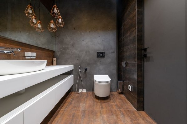 wall hung toilet pros and cons